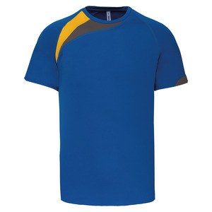 ProAct PA436 - SHORT SLEEVE SPORTS T-SHIRT Sporty Royal Blue / Sporty Yellow / Storm Grey