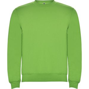 Roly SU1070 - CLASICA Classic sweatshirt with 1x1 elastane rib in collar Oasis Green