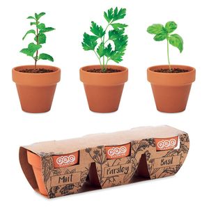 GiftRetail MO6145 - FLOWERPOT Terracotta 3 herb pot set Wood