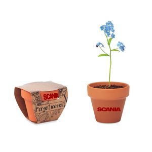 GiftRetail MO6146 - FORGET ME NOT Terracotta pot 'forget me not' Wood