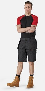 Dickies DK0A4XSI - Men’s REDHAWK shorts (WD802)